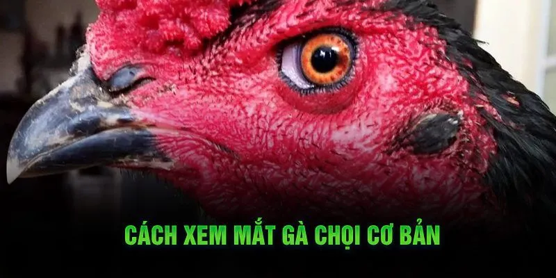 Phương pháp xác định cơ bản