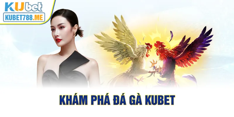 Khám phá đá gà Kubet