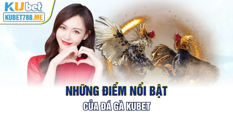 Những điểm nổi bật của đá gà Kubet
