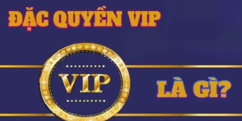 Quyền lợi của hội viên VIP