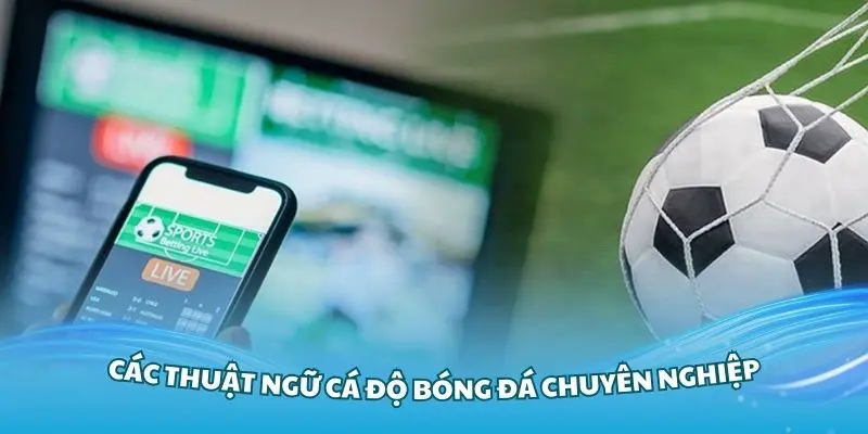 Các thuật ngữ cá độ bóng đá chuyên nghiệp bạn cần nắm