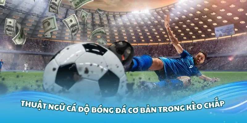 Nắm vững các thuật ngữ cá độ bóng đá cơ bản trong kèo chấp
