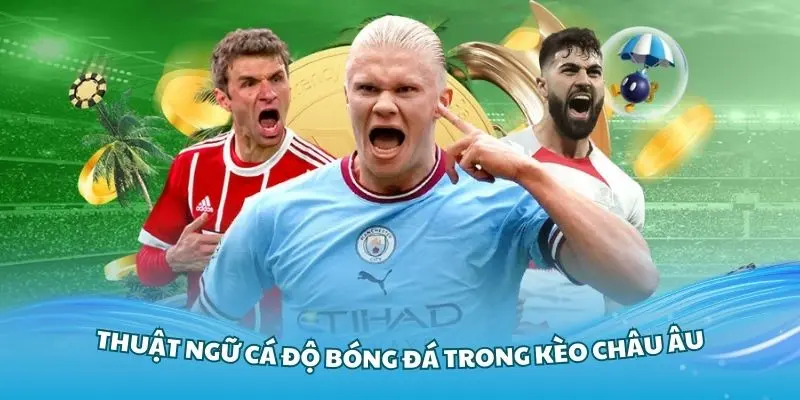 Thuật ngữ cá độ bóng đá cơ bản trong kèo cược châu Âu