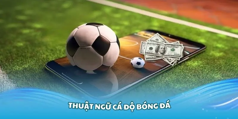 Thuật ngữ cá độ bóng đá